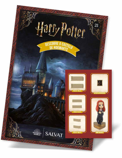 Nº 21 - Escola de Magia e Bruxaria de Hogwarts