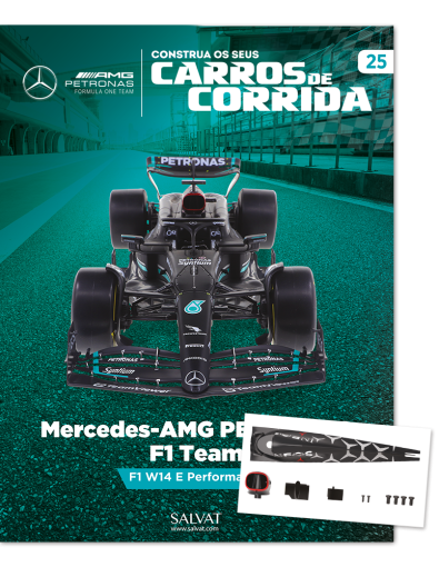 Mercedes-AMG PETRONAS F1 Team