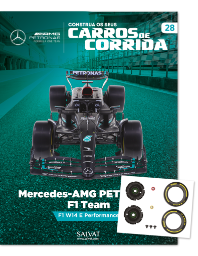 Mercedes-AMG PETRONAS F1 Team