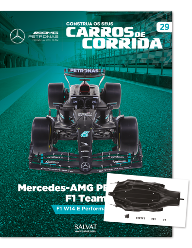 Mercedes-AMG PETRONAS F1 Team