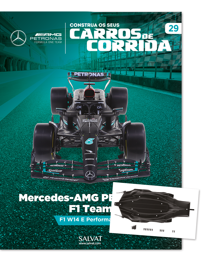Mercedes-AMG PETRONAS F1 Team