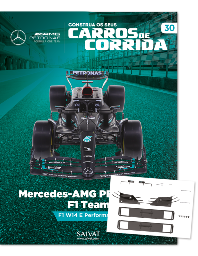 Mercedes-AMG PETRONAS F1 Team