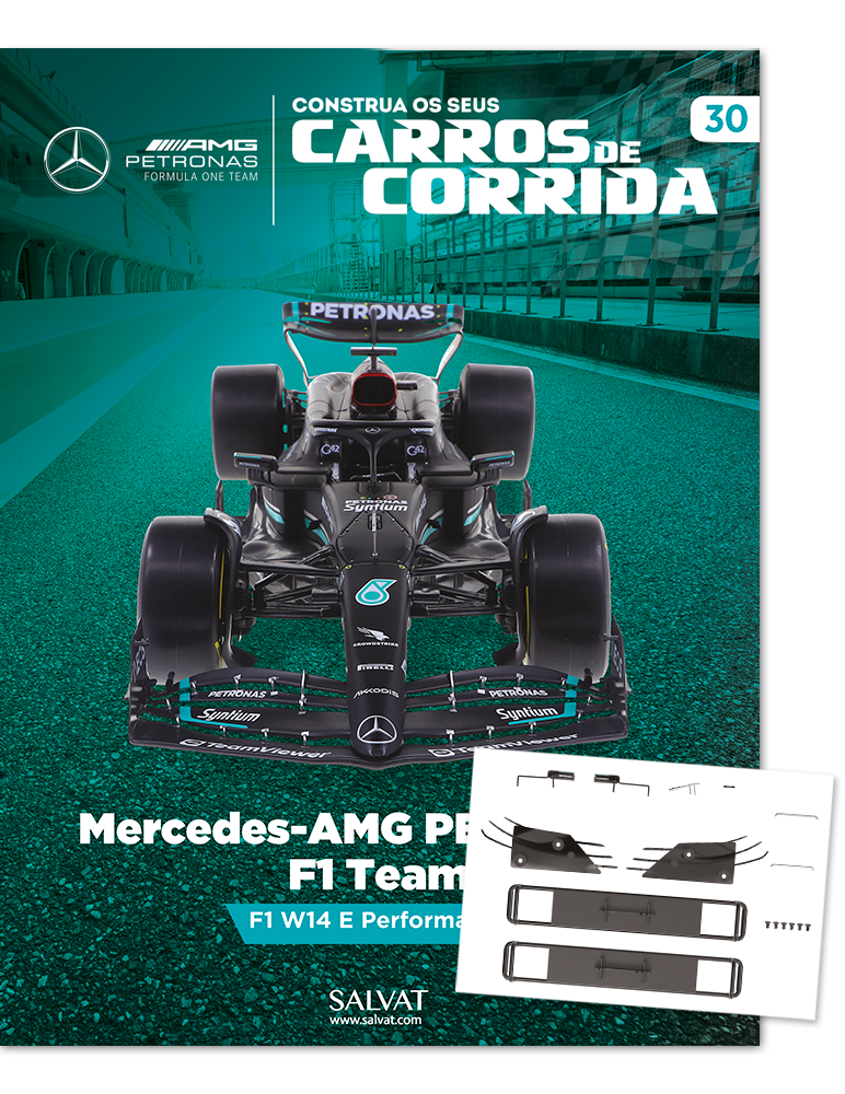 Mercedes-AMG PETRONAS F1 Team